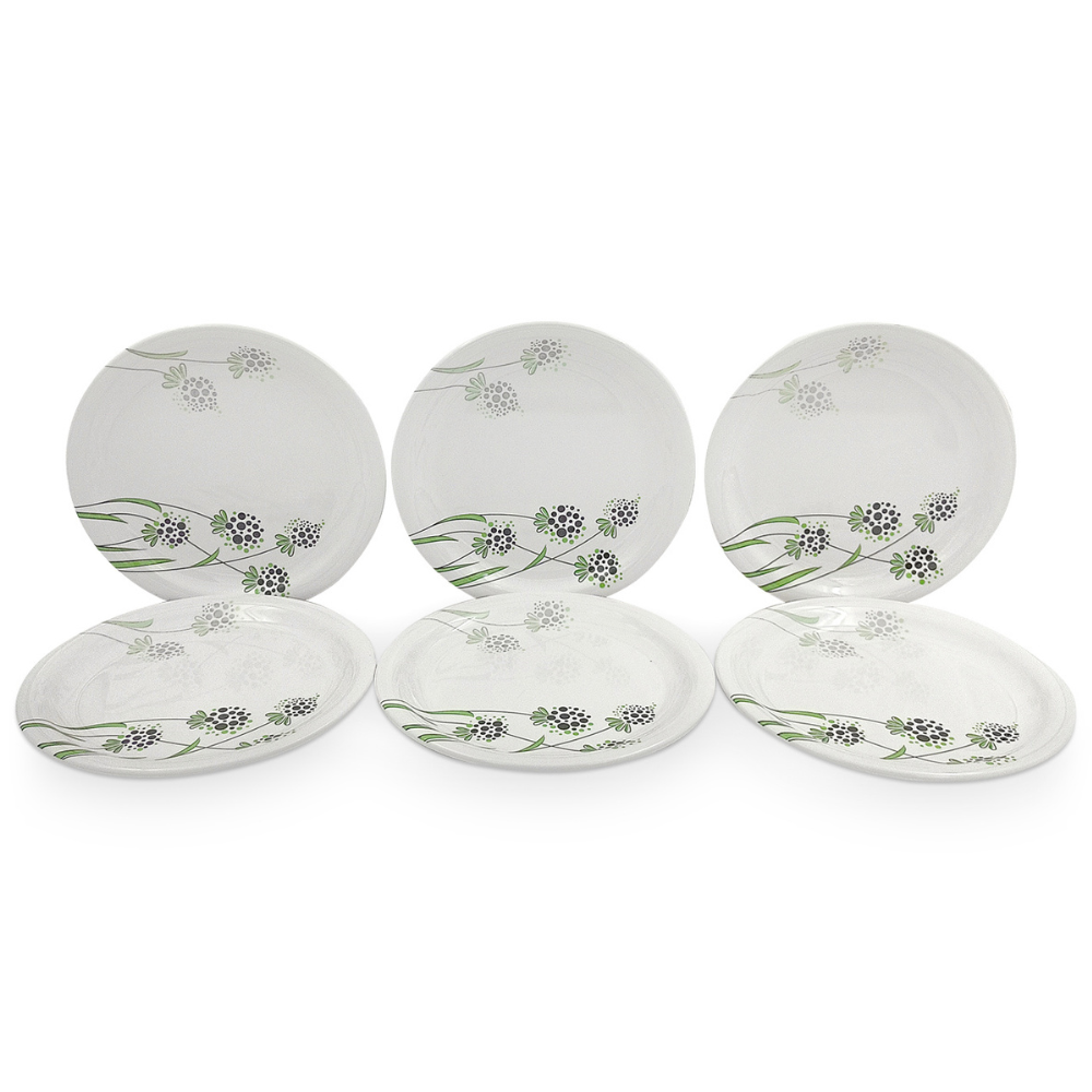 SUPERWARE, Plate Set - GREEN BERRY | 6 Nos.