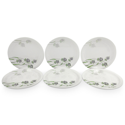 SUPERWARE, Plate Set - GREEN BERRY | 6 Nos.